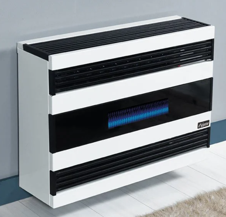 Fujiyama Yetkili Servisi